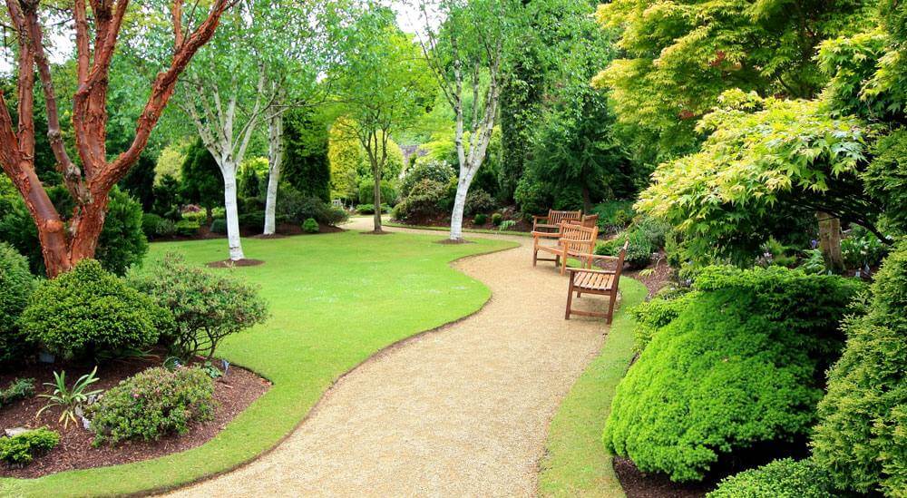 Optimized Landscape Image