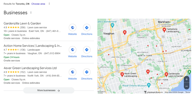 Local SEO Search Results